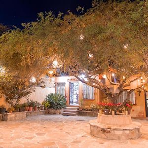 Hotel Casa del Arbol